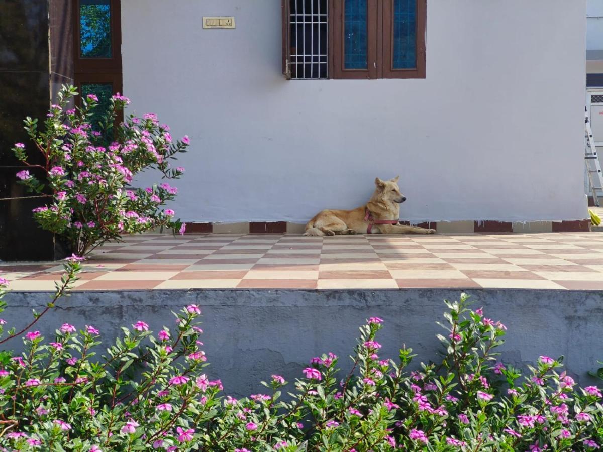 Fort View Guest House - Sariska Alwar Eksteriør bilde